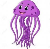 octopus image